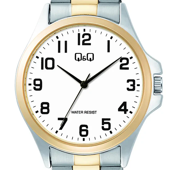 Reloj Q&Q C36A-017PY 2