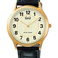Reloj Q&Q C48A-002PY - Miniatura 1