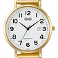 Reloj Q&Q A46A-002PY - Miniatura 2