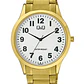 Reloj Q&Q C08A-009PY - Miniatura 1