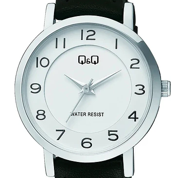 Reloj Q&Q C60A-002PY 2