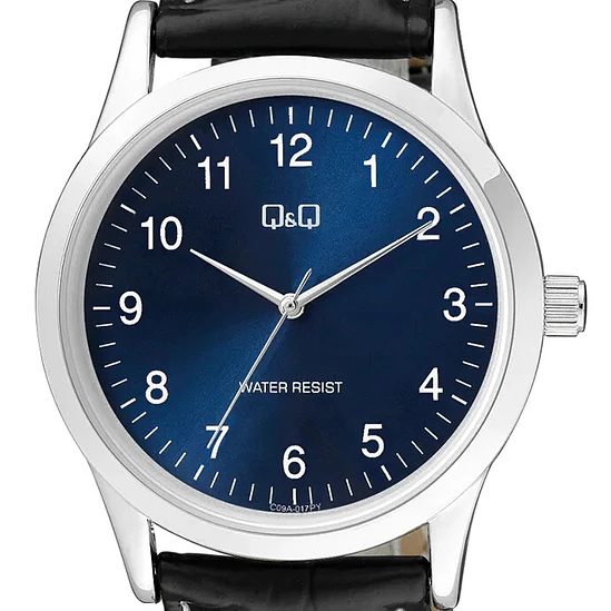Reloj Q&Q C09A-017PY 2