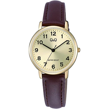 Reloj Q&Q C65A-001PY 1