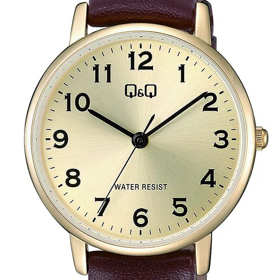 Reloj Q&Q C65A-001PY 2