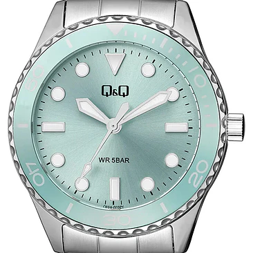 Reloj Q&Q Q55A-003PY 2