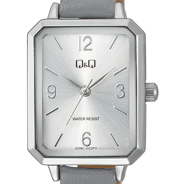 Reloj Q&Q Q29C-002PY 2
