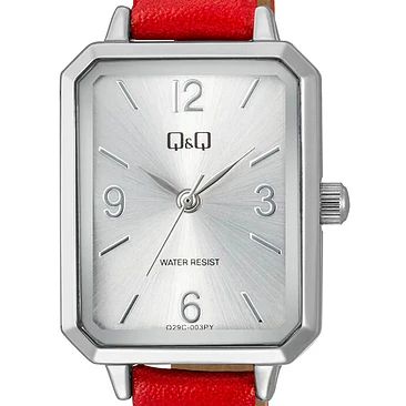 Reloj Q&Q Q29C-003PY 2