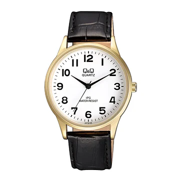 Reloj Q&Q C214J104Y 1