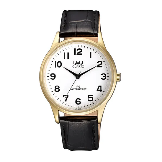 Reloj Q&Q C214J104Y 1
