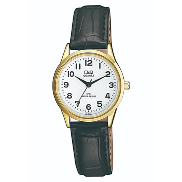 Reloj Q&Q C215J104Y 1
