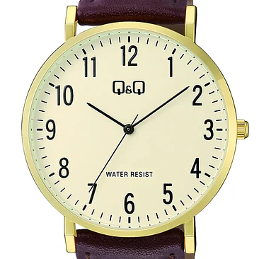 Reloj Q&Q C43A-004PY 2