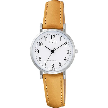 Reloj Q&Q C66A-012PY 1