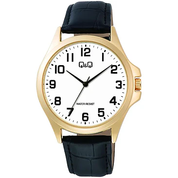 Reloj Q&Q C36A-009PY 1