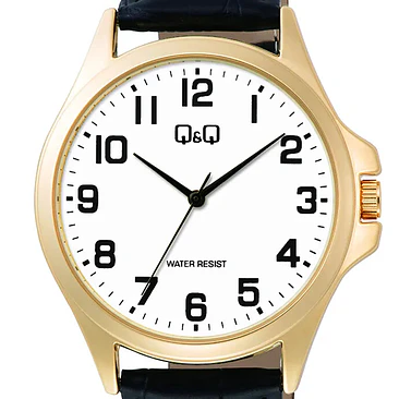 Reloj Q&Q C36A-009PY 2