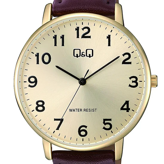 Reloj Q&Q C64A-004PY 2
