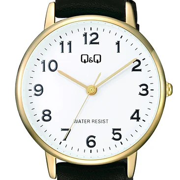 Reloj Q&Q C65A-003PY 2