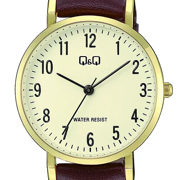 Reloj Q&Q C66A-001PY 2