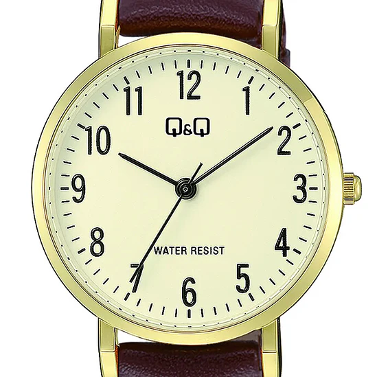 Reloj Q&Q C66A-001PY 2