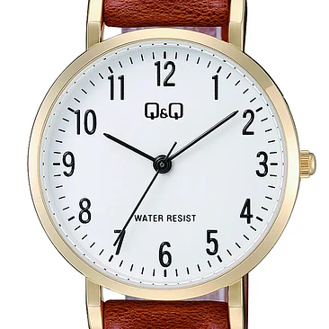 Reloj Q&Q C66A-002PY 2