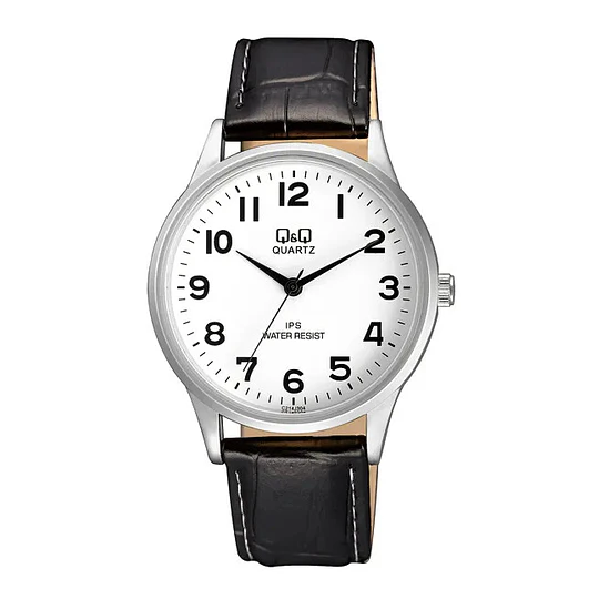 Reloj Q&Q C214J304Y 1