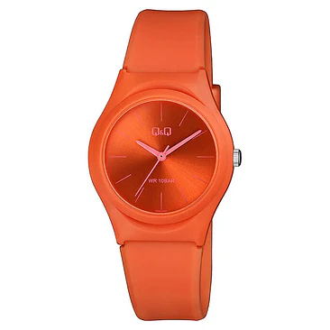Reloj Q&Q VQ86J060Y 1