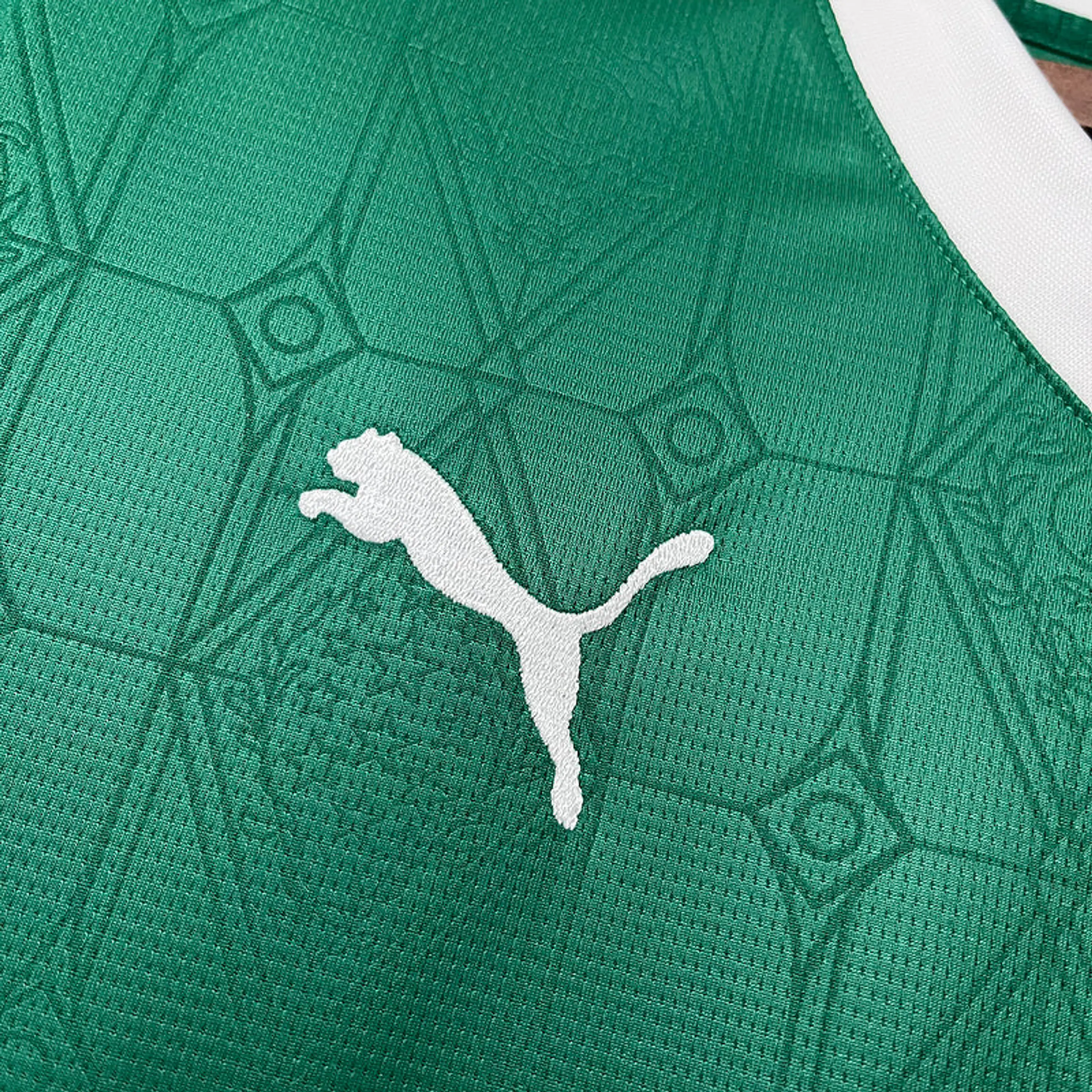 Palmeiras 2025-26 2