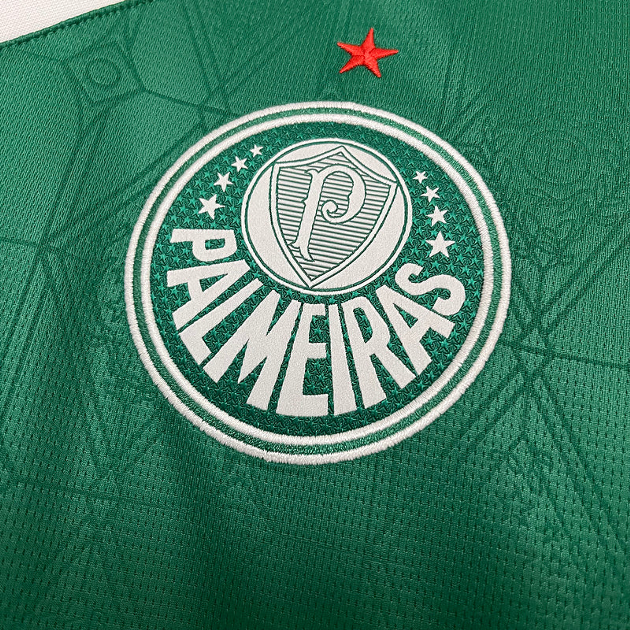 Palmeiras 2025-26 3