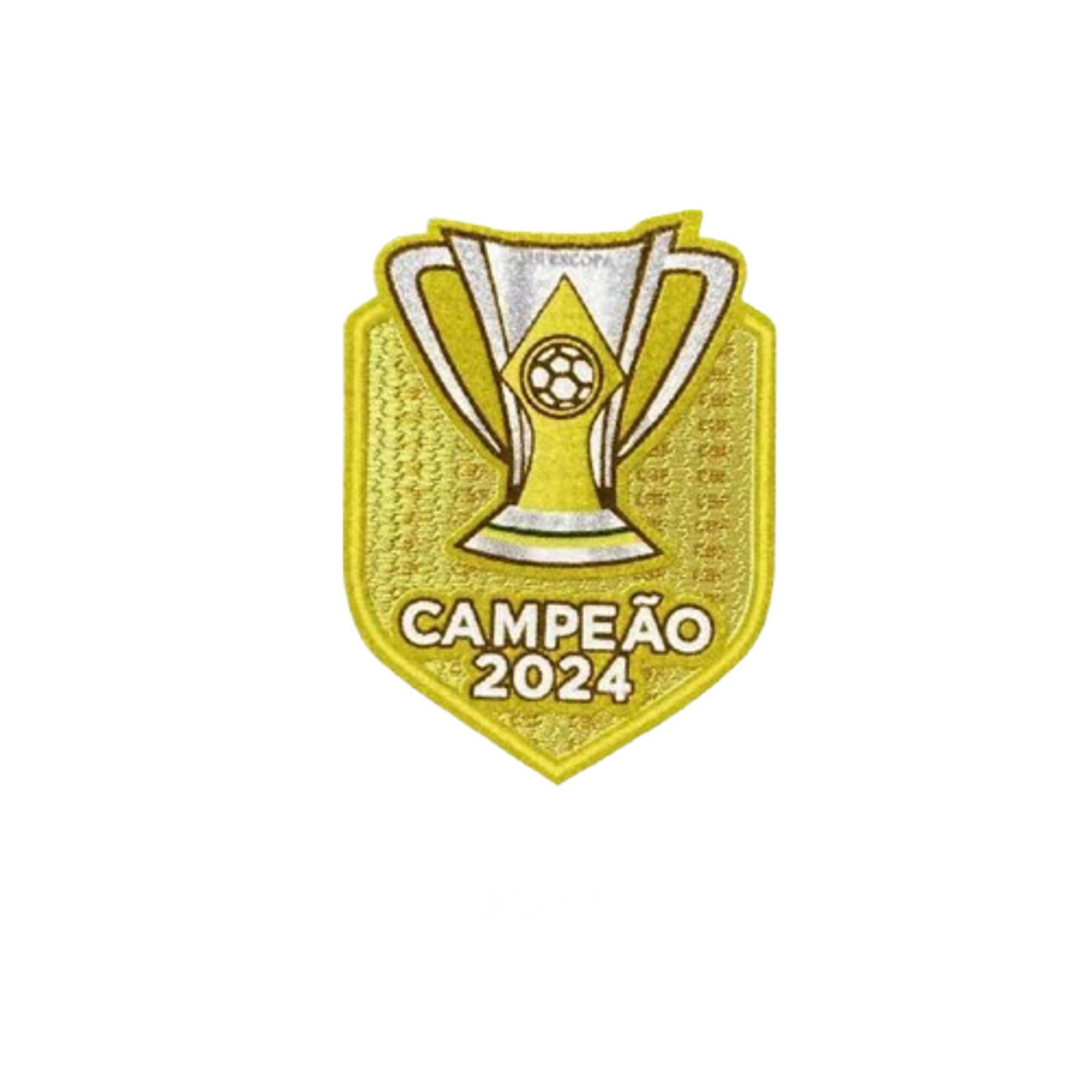 Botafogo alternativa 2024-25 6