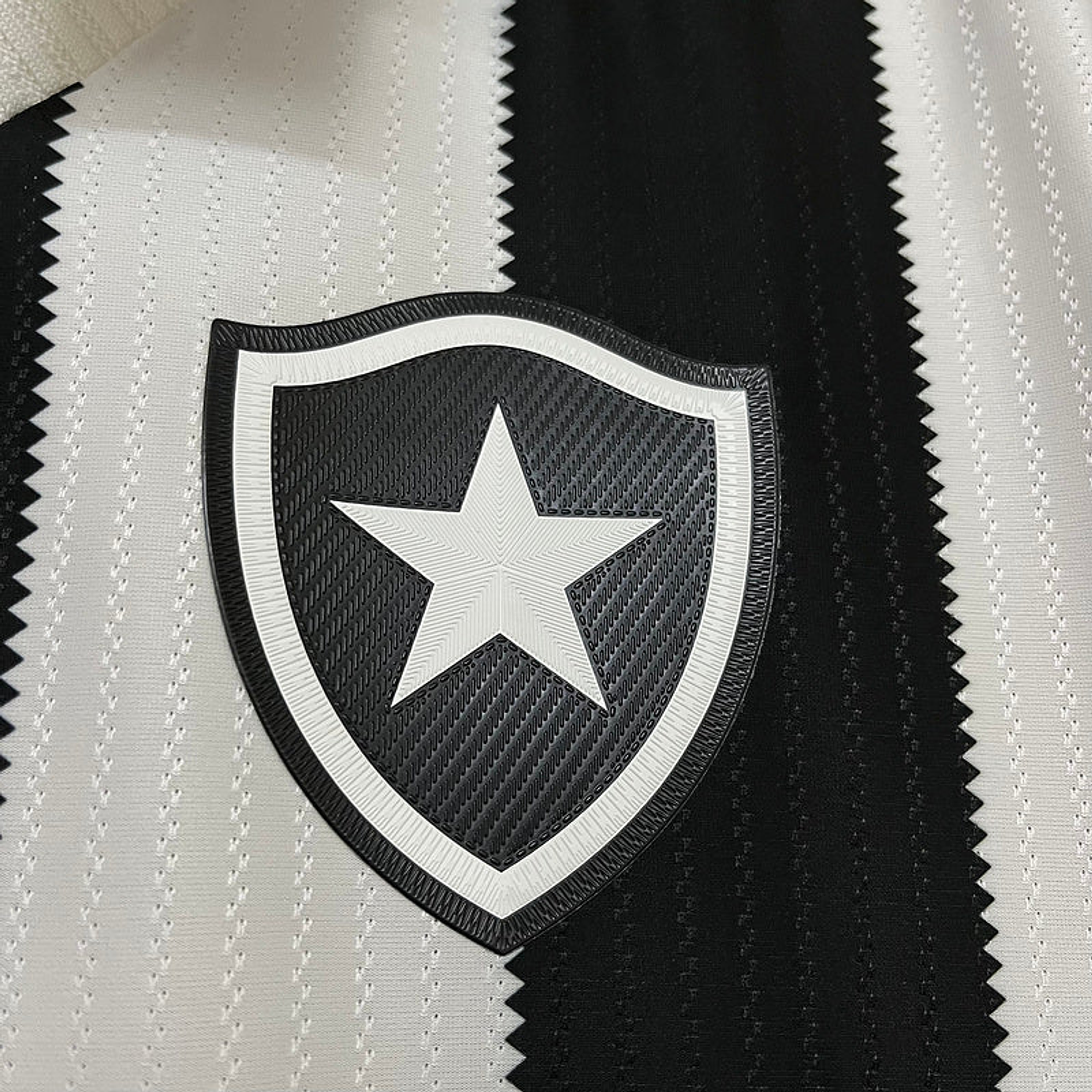 Botafogo 2024-25 2