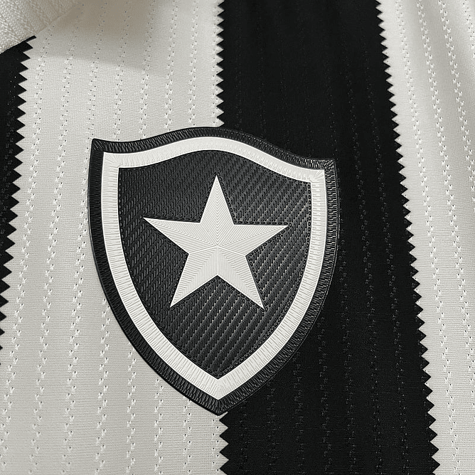 Botafogo 2024-25 2