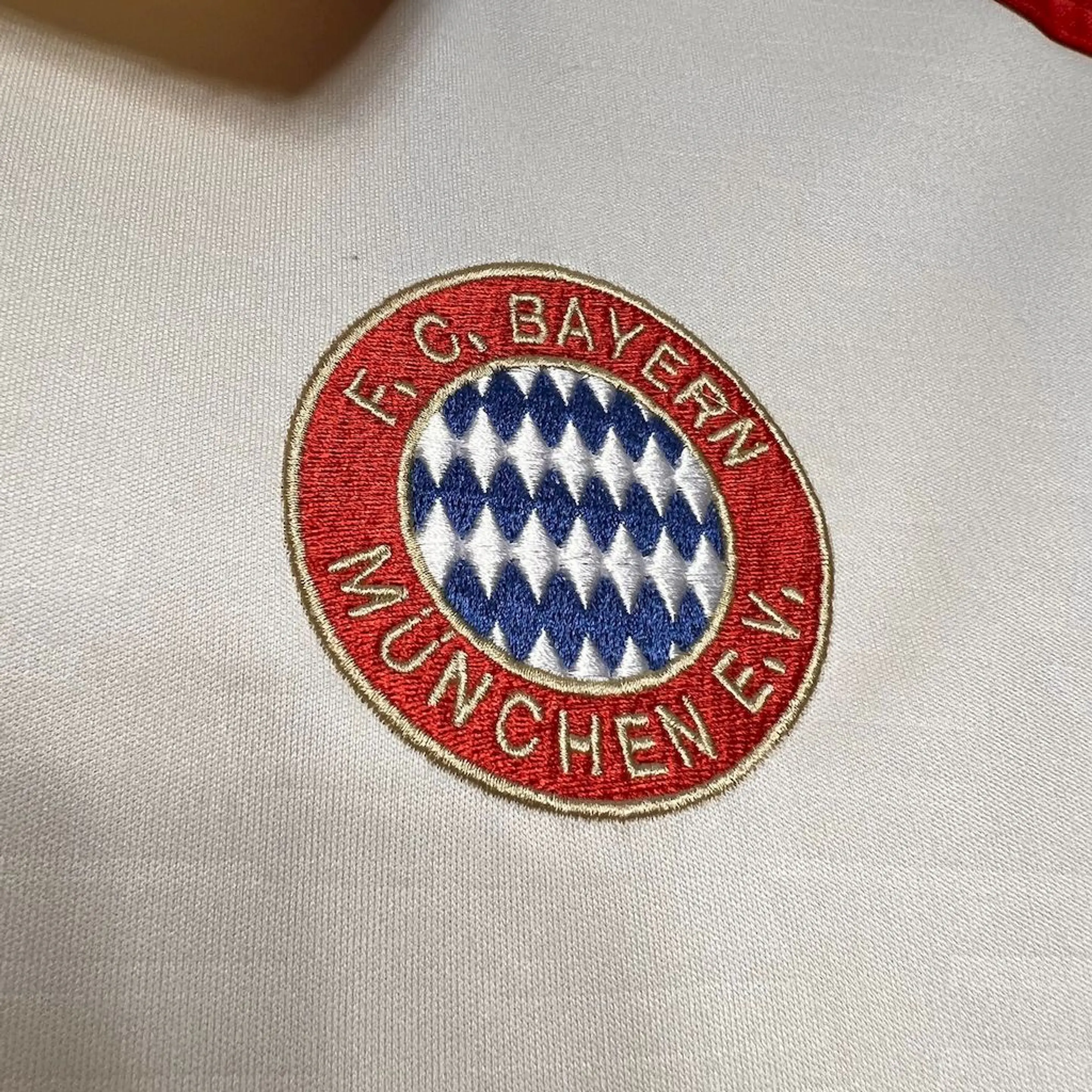 Bayern M. alternativa 2024-25 2