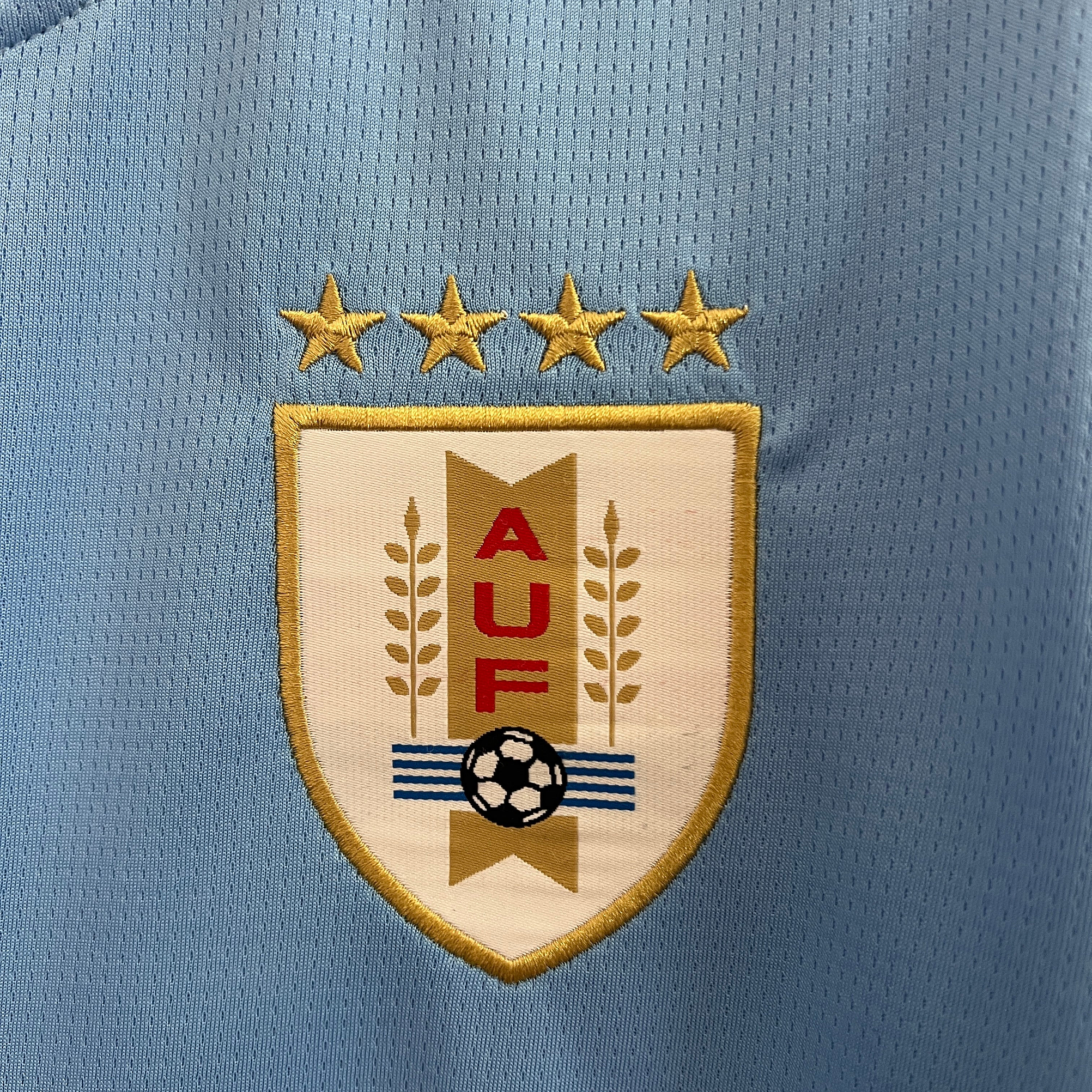 Uruguay 2024-25 2