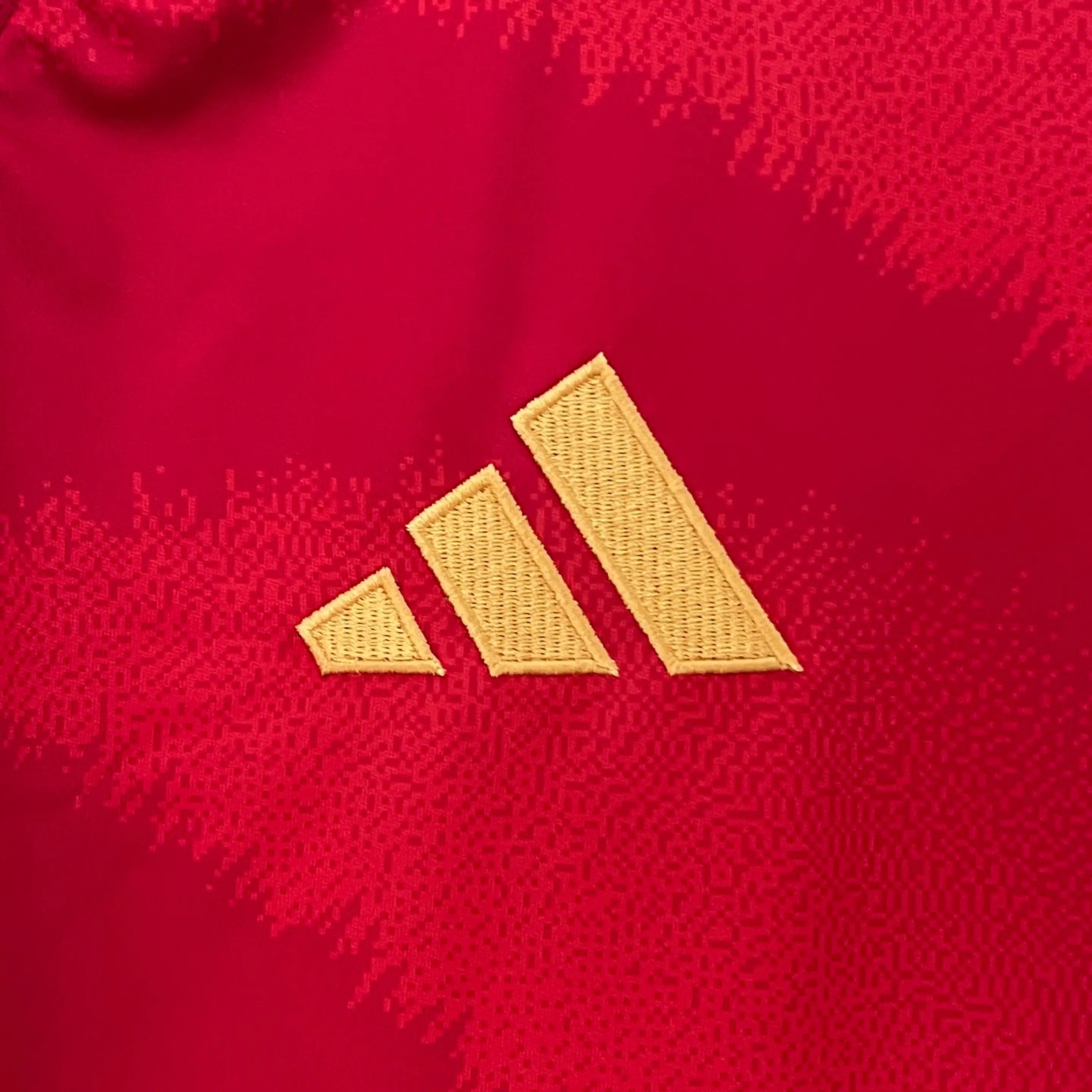 Espanha 2024-25 2