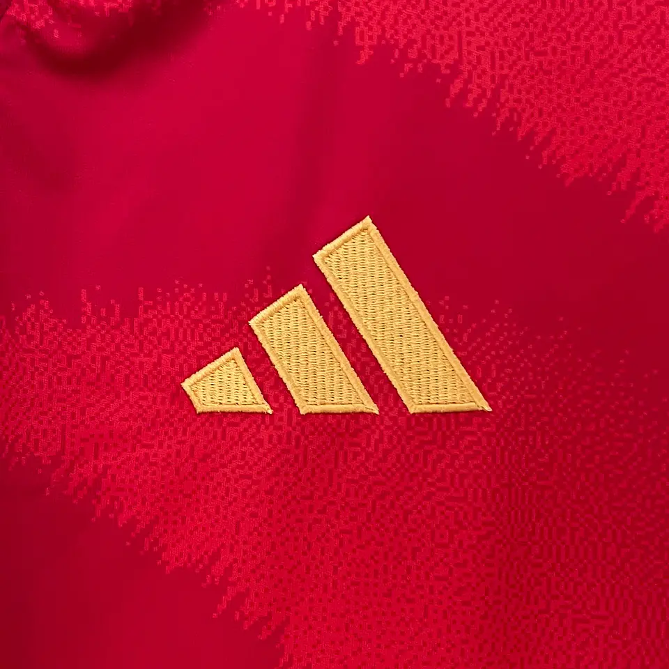 Espanha 2024-25 2