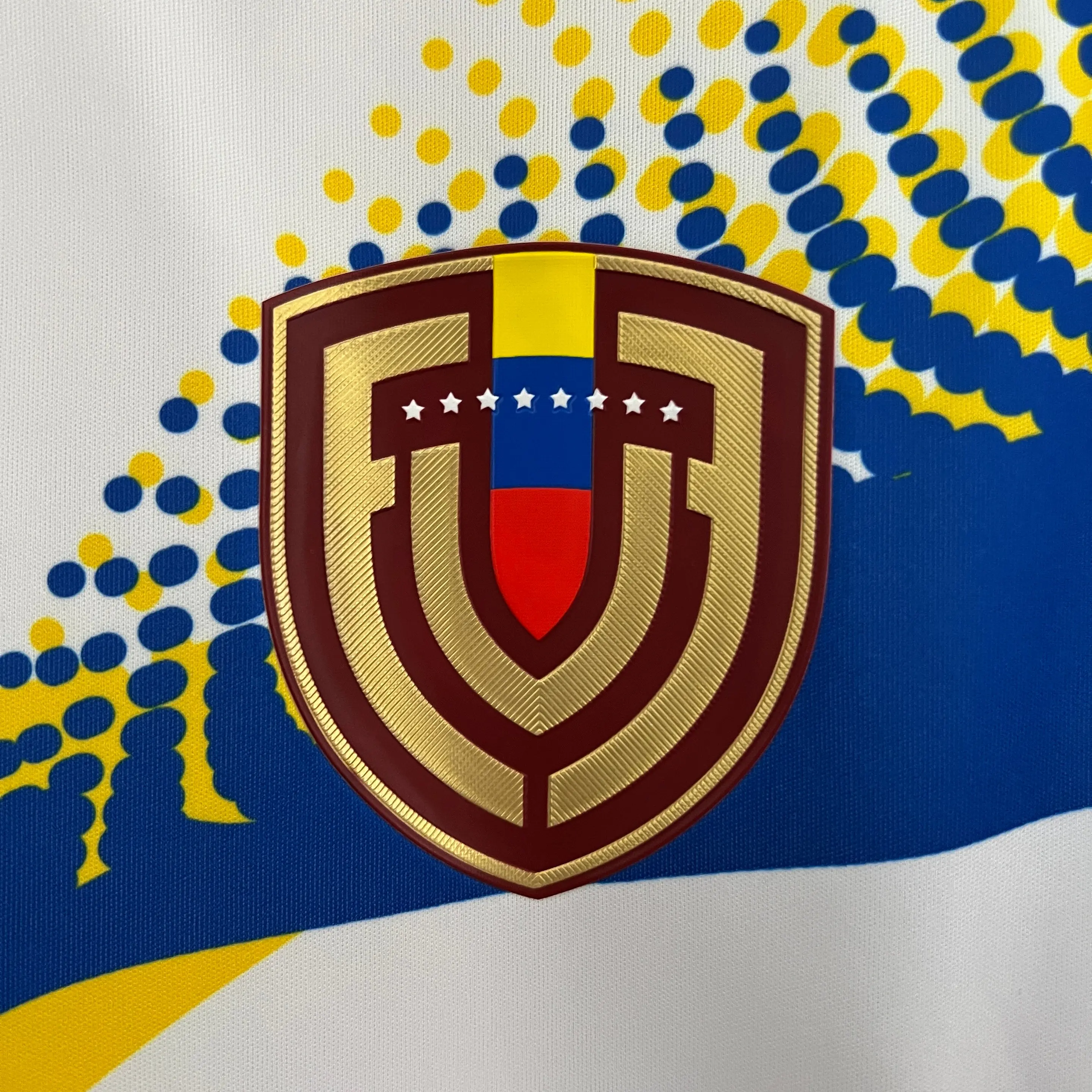 Venezuela alternativa 2024-25 2