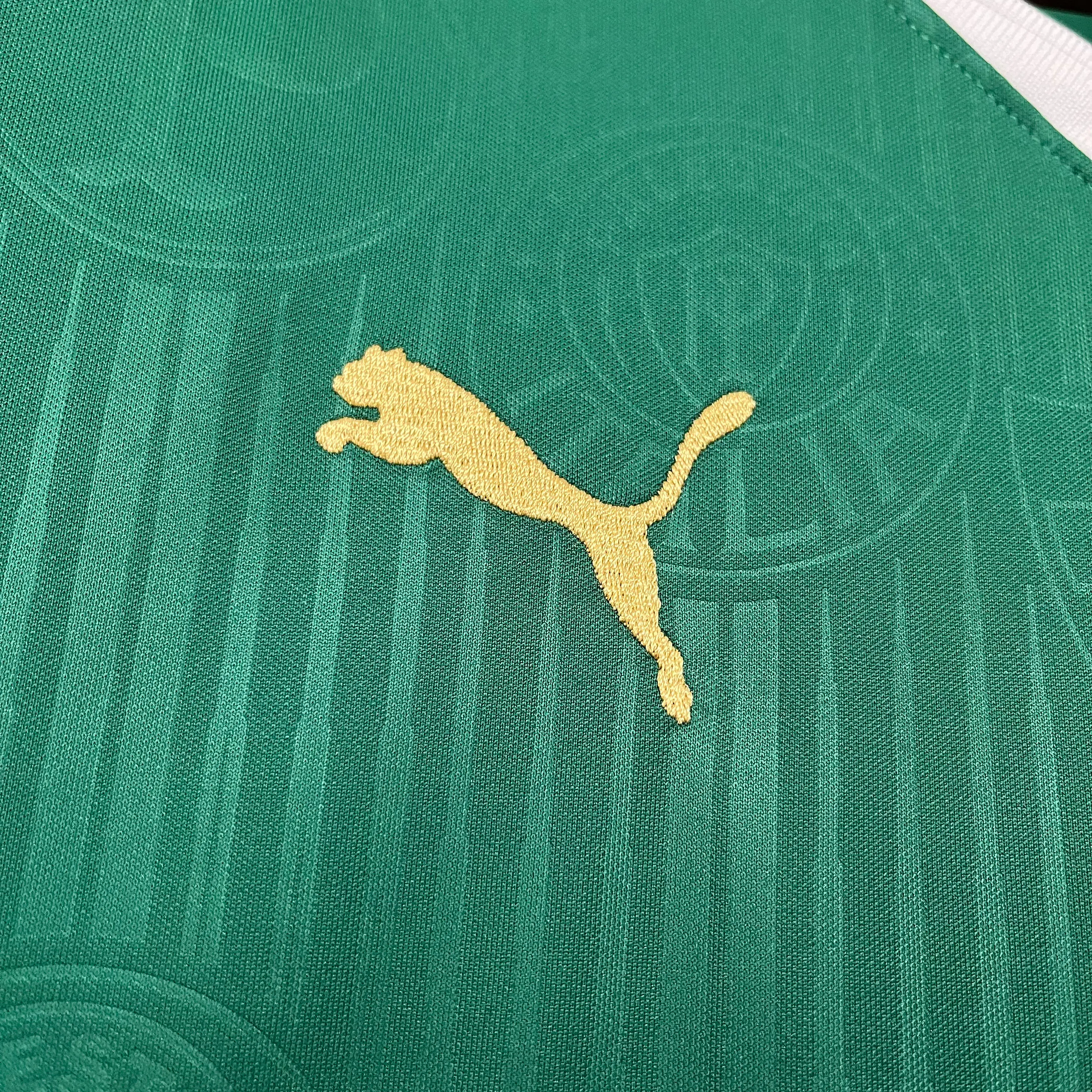 Palmeiras 2024-25 2