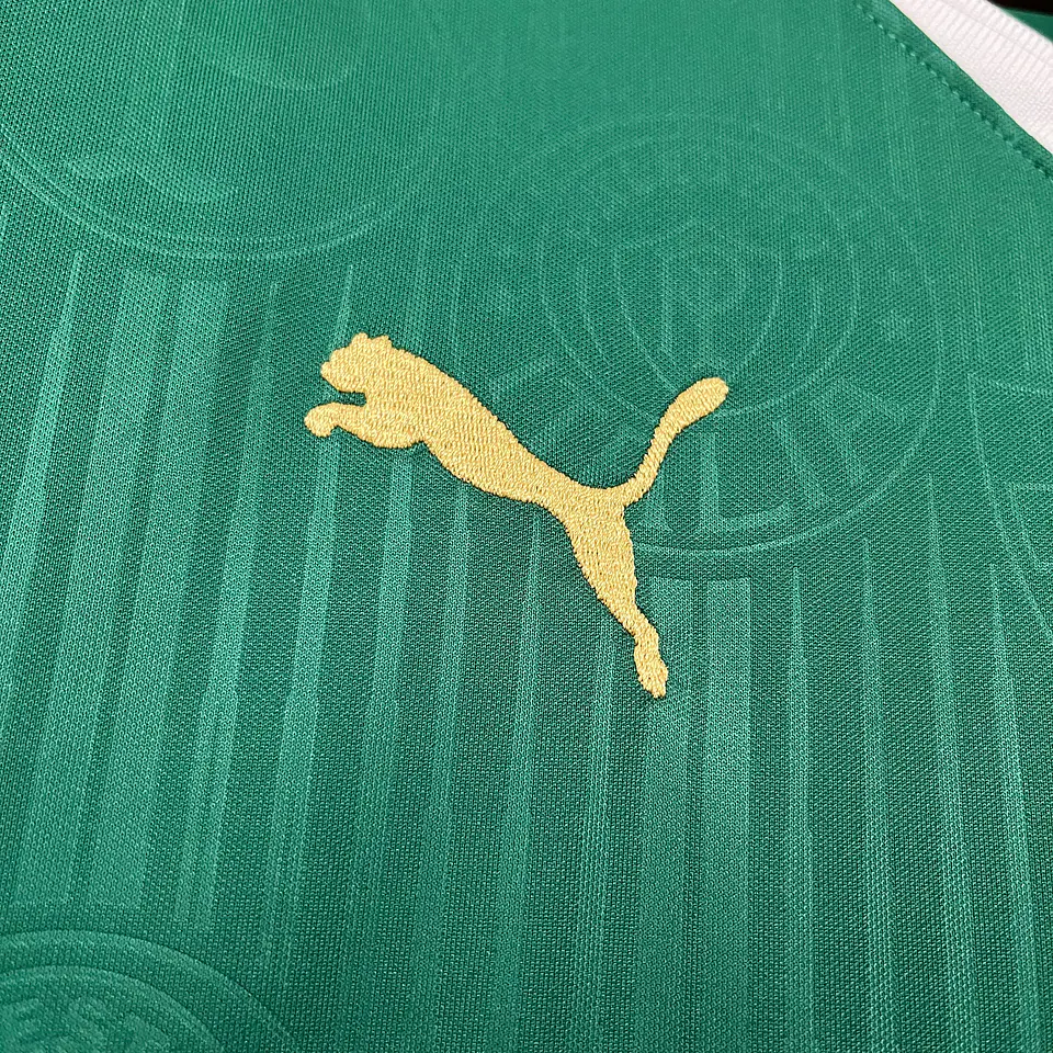 Palmeiras 2024-25 2