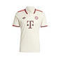 Bayern M. alternativa 2024-25 - Thumbnail 1