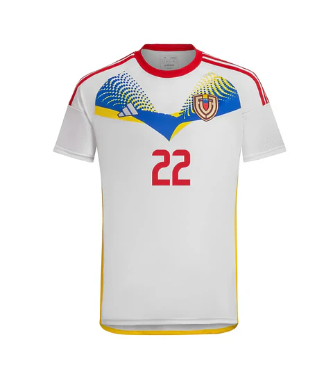 Alternative Venezuela 2024-25
