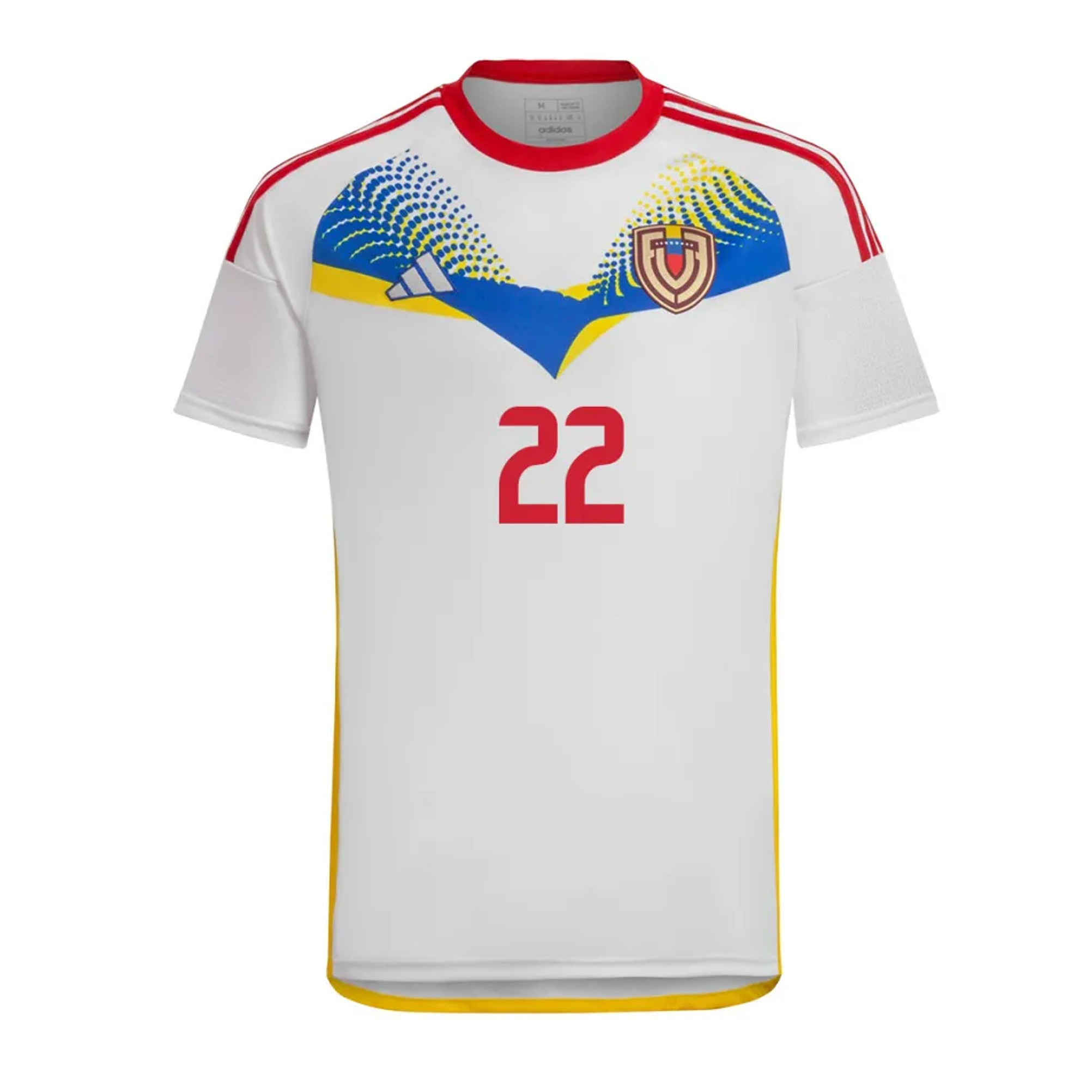 Venezuela alternativa 2024-25 1