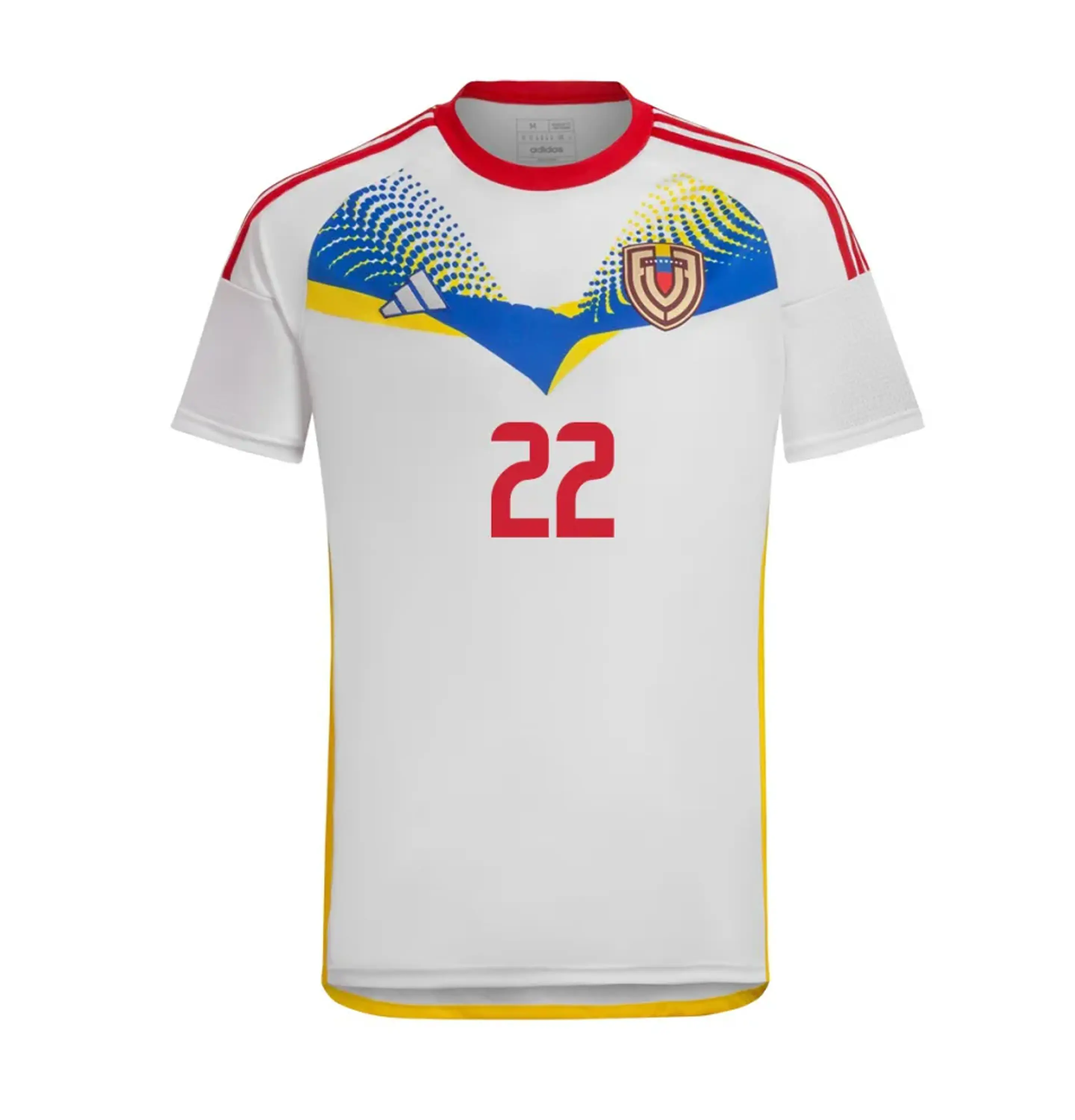 Venezuela alternativa 2024-25 1