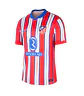Atlético de Madrid 2024-25 - Thumbnail 1