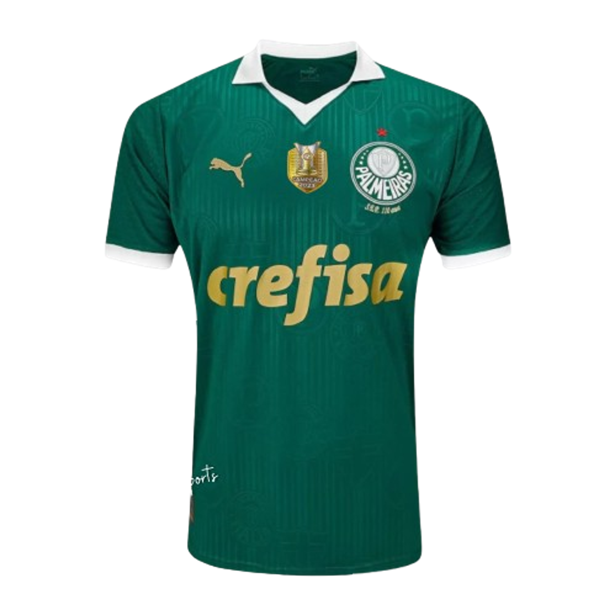 Palmeiras 2024-25 1
