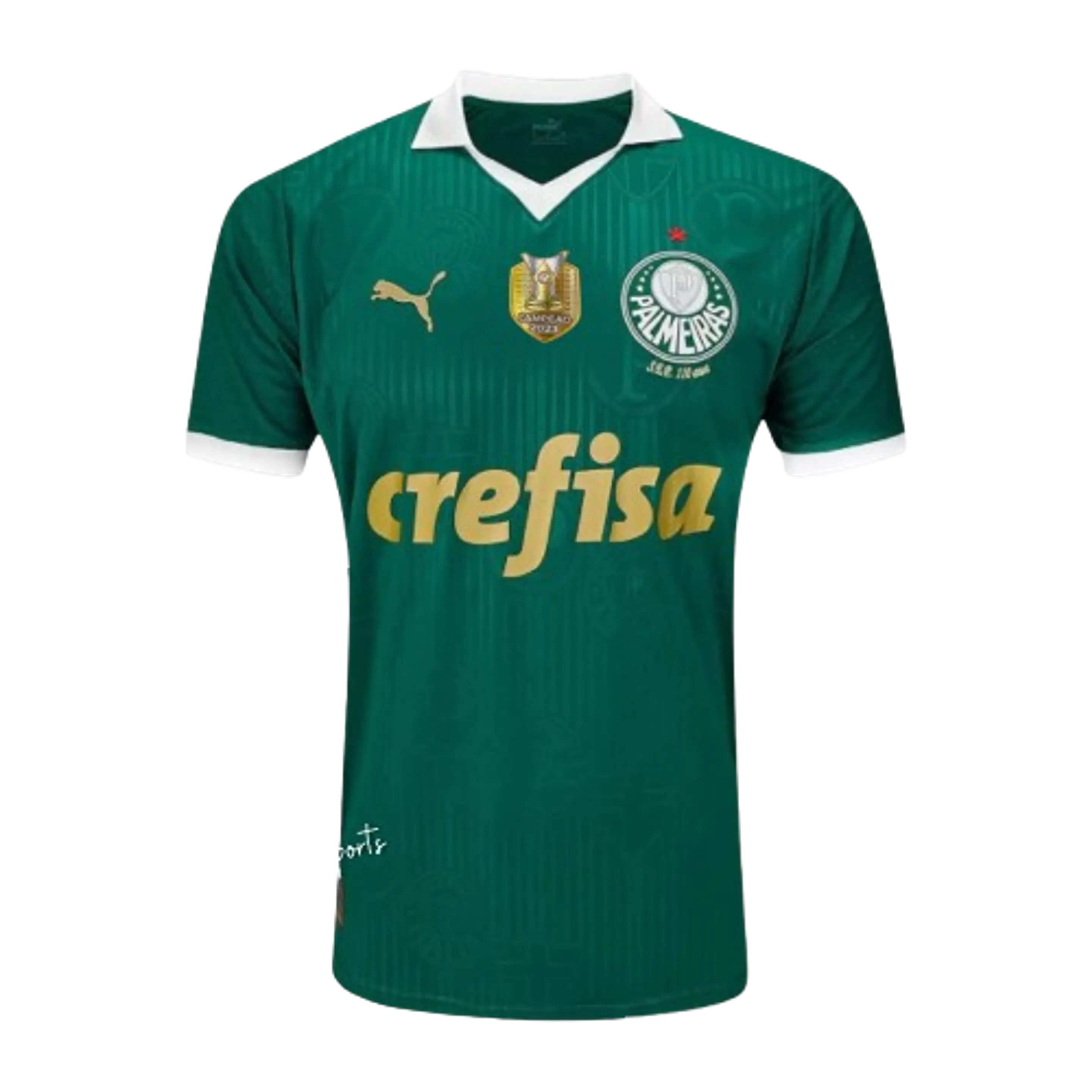 Palmeiras 2024-25 1