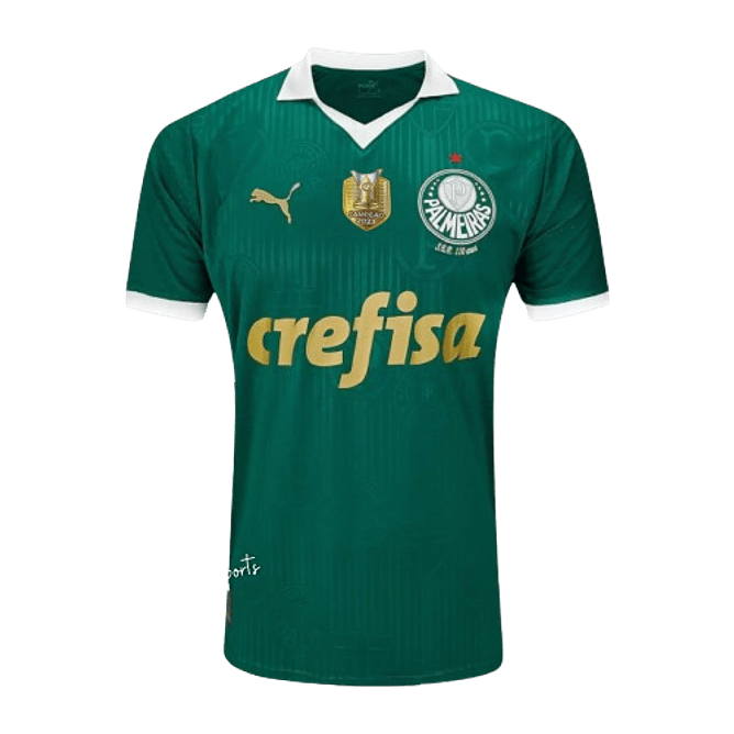 Palmeiras 2024-25 1