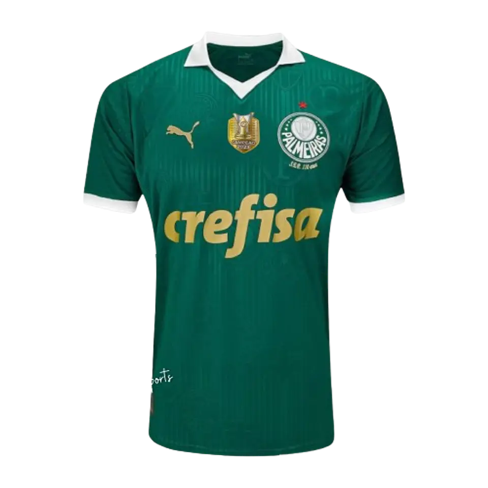 Palmeiras 2024-25 1