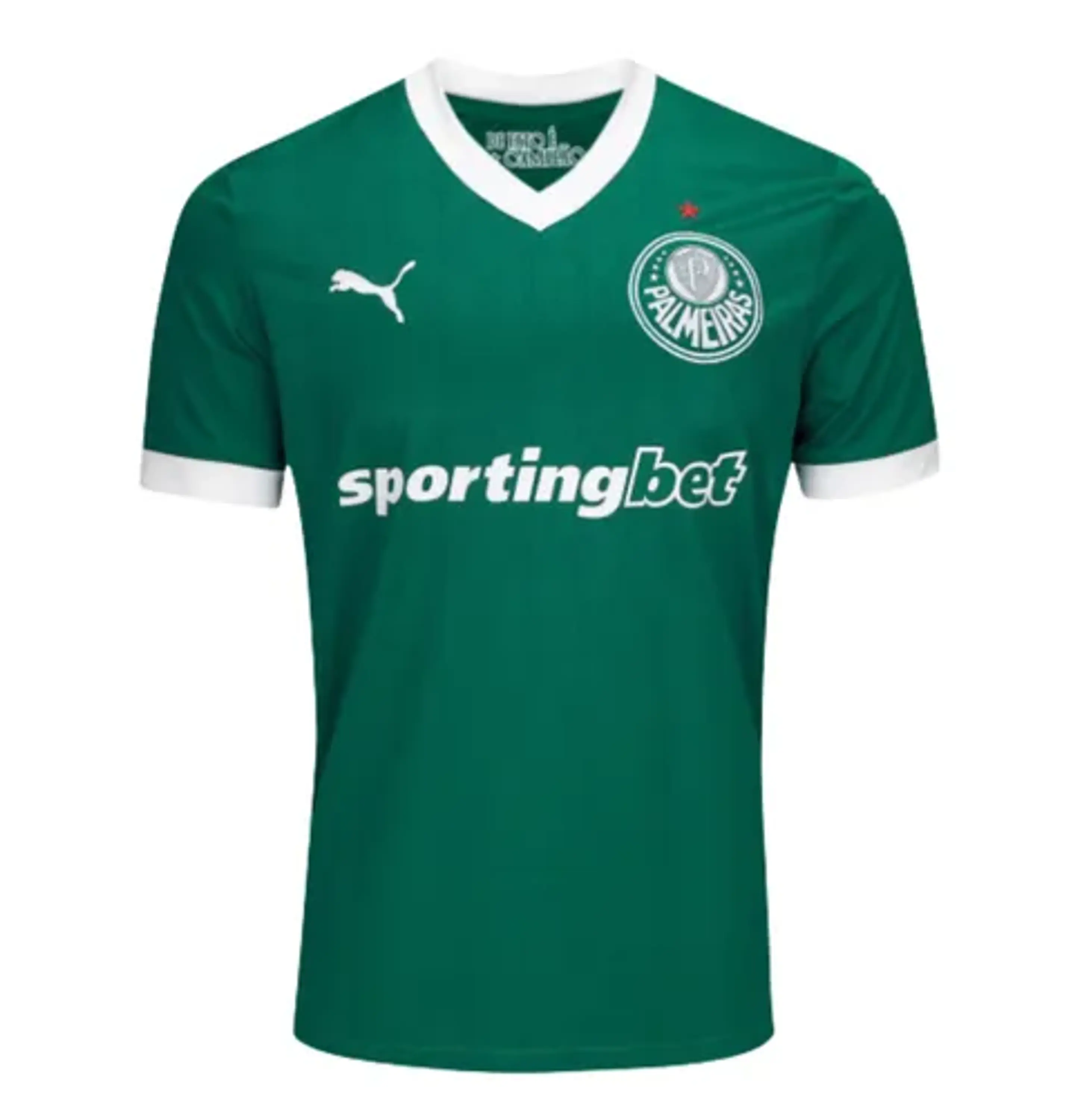 Palmeiras 2025-26 1