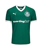 Palmeiras 2025-26 - Thumbnail 1