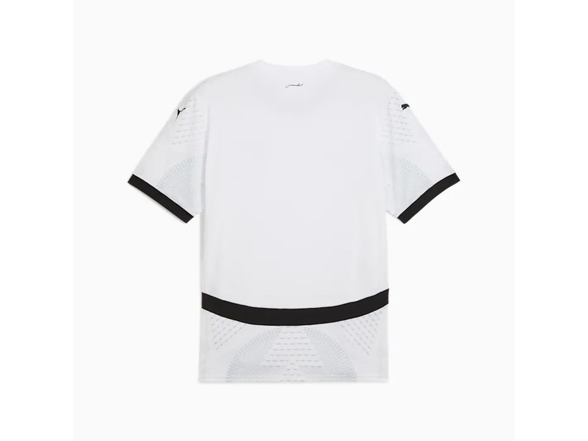 Egypt alternative 2026 2