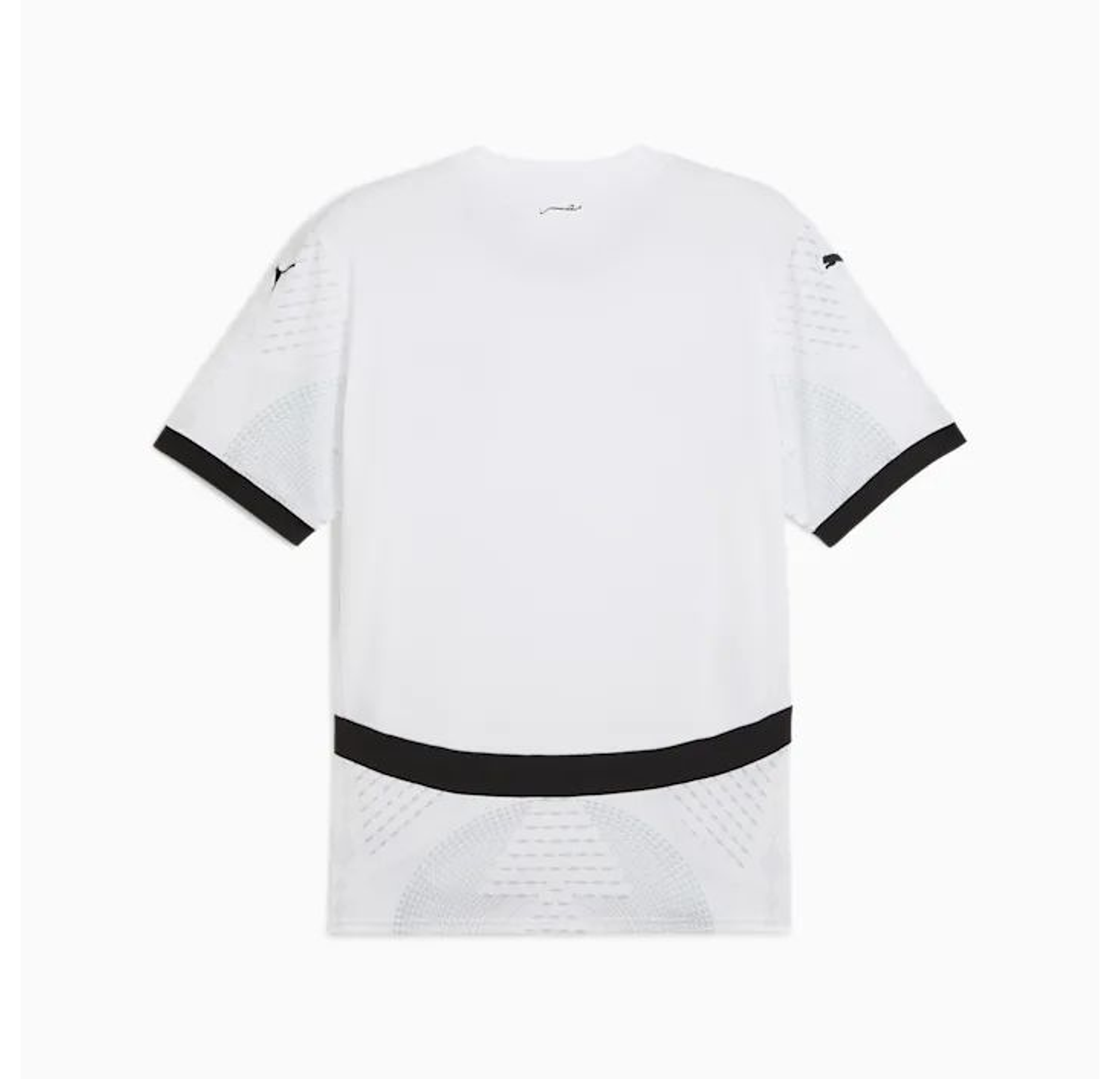 Egypt alternative 2026 2